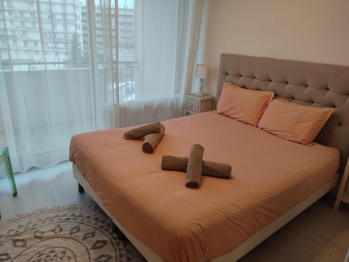 Charmant Appartement Au Bord Du Thiou - Annecy Eksteriør billede