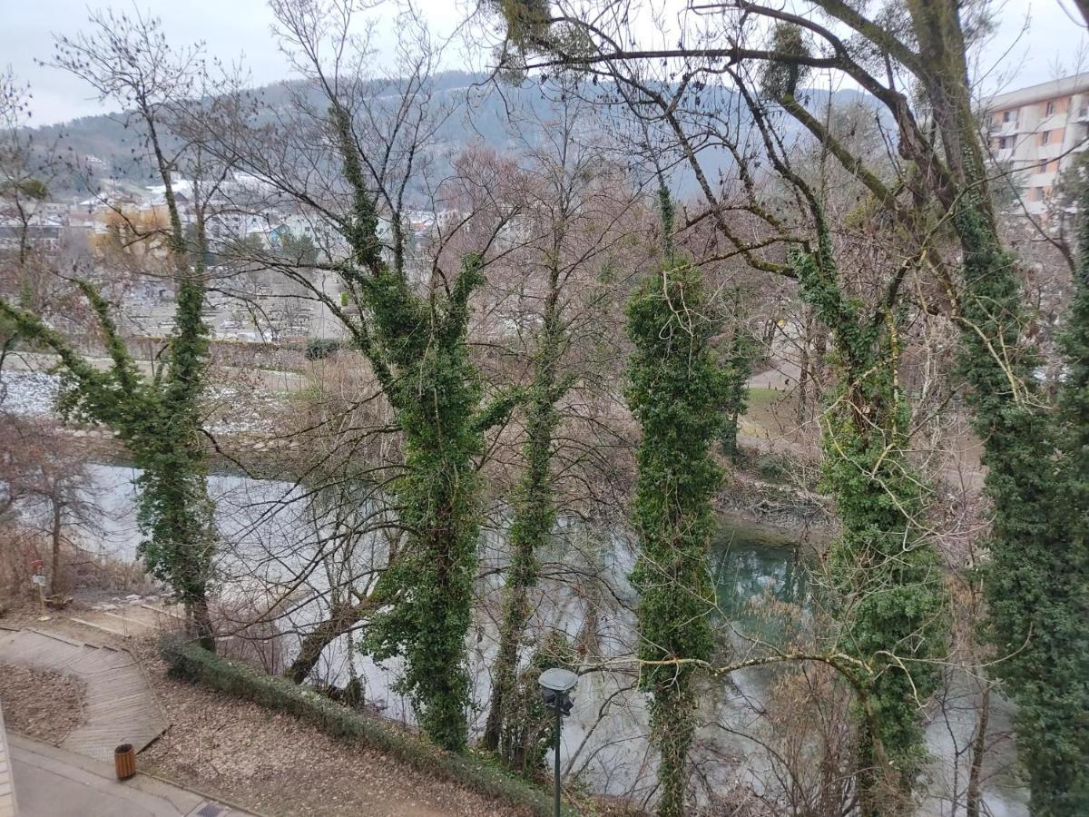 Charmant Appartement Au Bord Du Thiou - Annecy Eksteriør billede