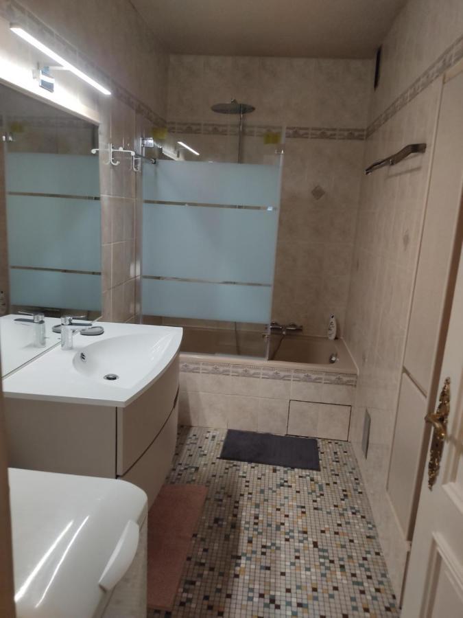 Charmant Appartement Au Bord Du Thiou - Annecy Eksteriør billede