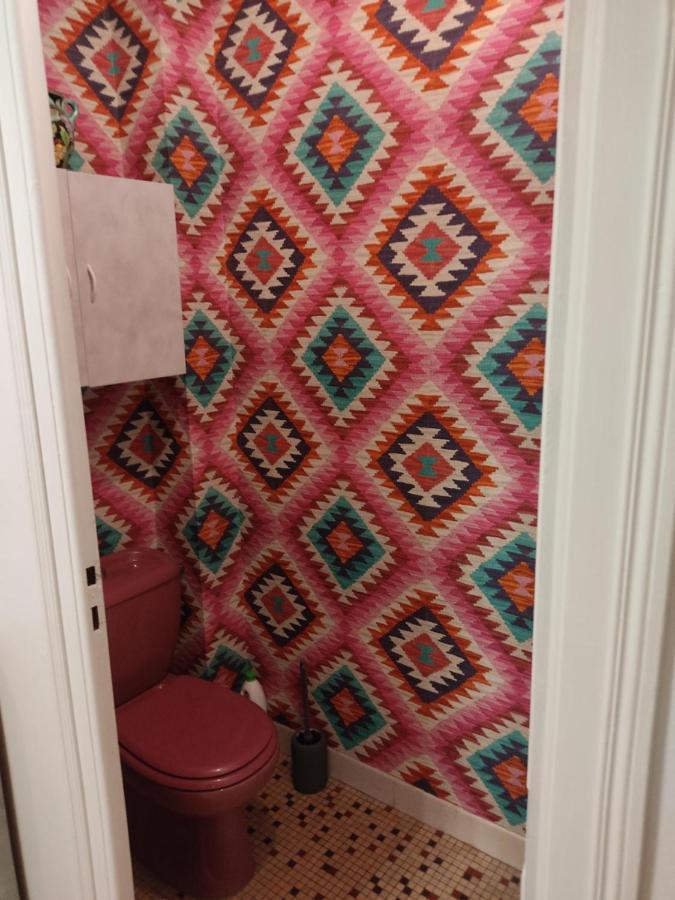 Charmant Appartement Au Bord Du Thiou - Annecy Eksteriør billede